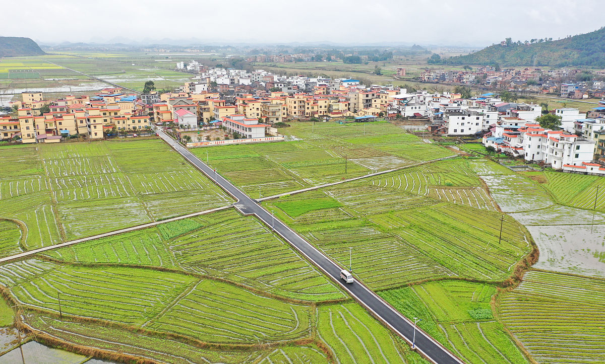 乡镇经济的引擎作用：开启乡村振兴新时代