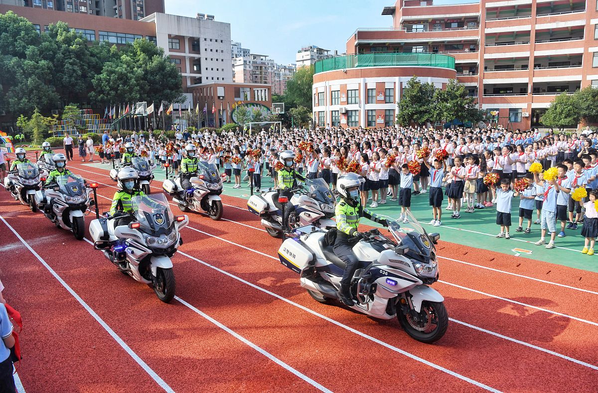 校园交通违规撤销处分300字