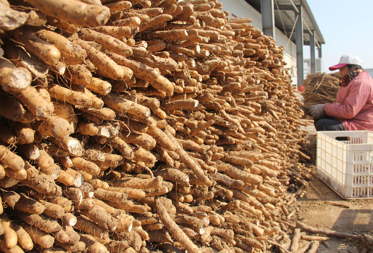 农产品直播电商消费者行为研究:基于铁棍山药的混合型研究方法 农产品直播电商消费者行为研究:基于铁棍山药的混合型研究方法