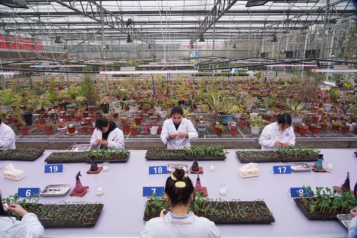 梧州农业学校果蔬花卉生产技术专业：课程设置、优势及就业前景