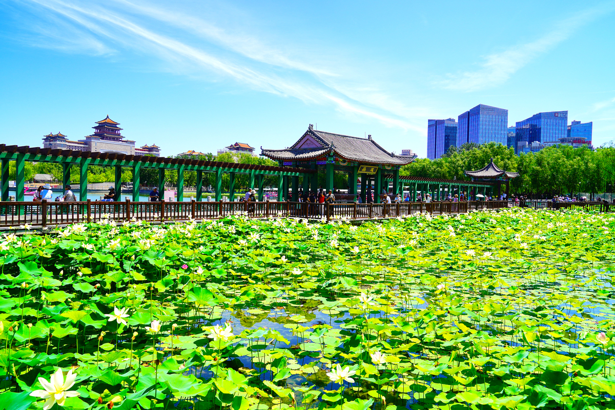 打开附近人时昨天别人都还看见显示怎么今天就看不见不显示了帮我用200字详细描述