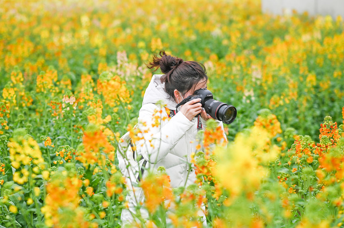 南昌职业大学室内艺术设计专业好就业吗