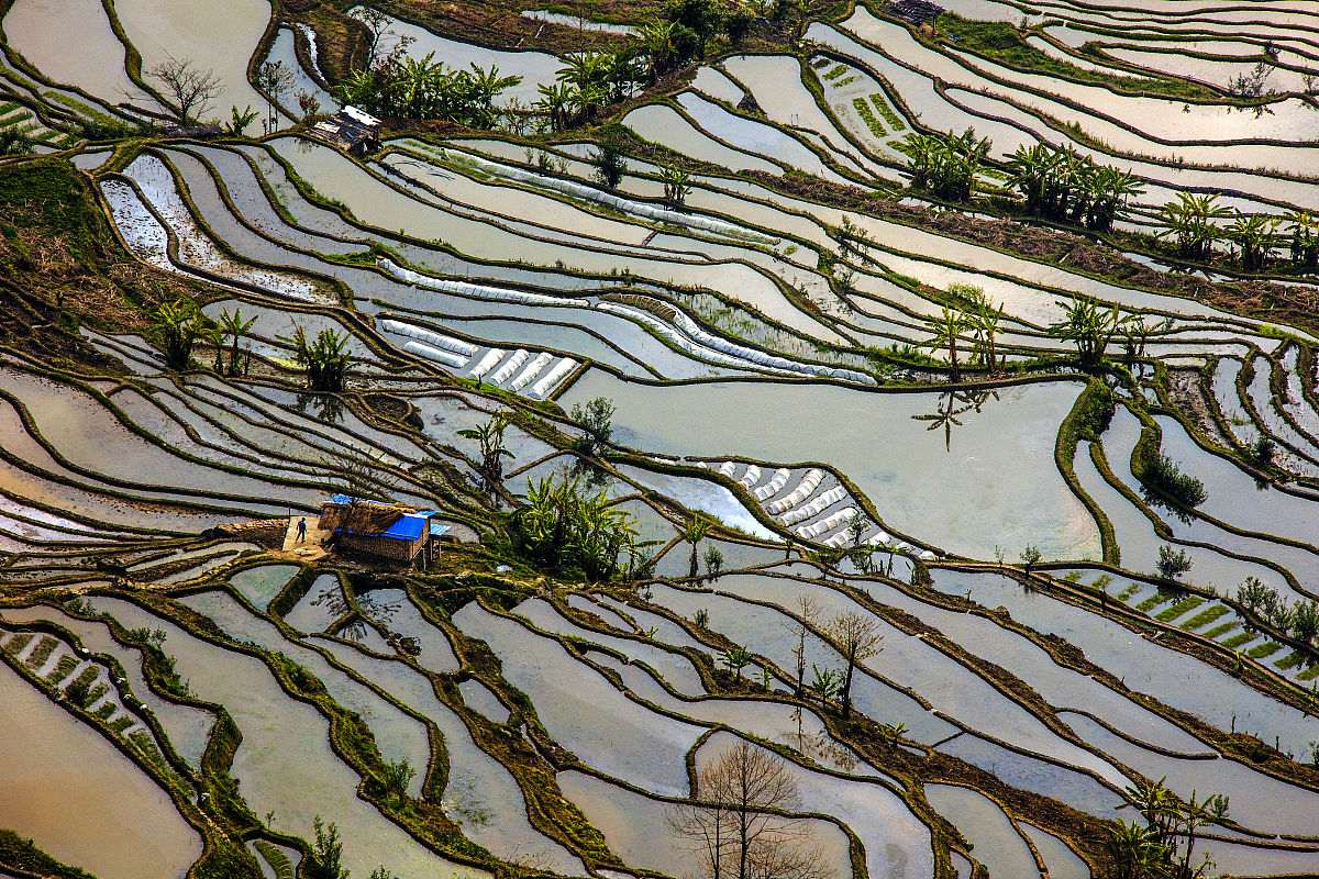 云南冶金高级技工学校2022年录取分数线