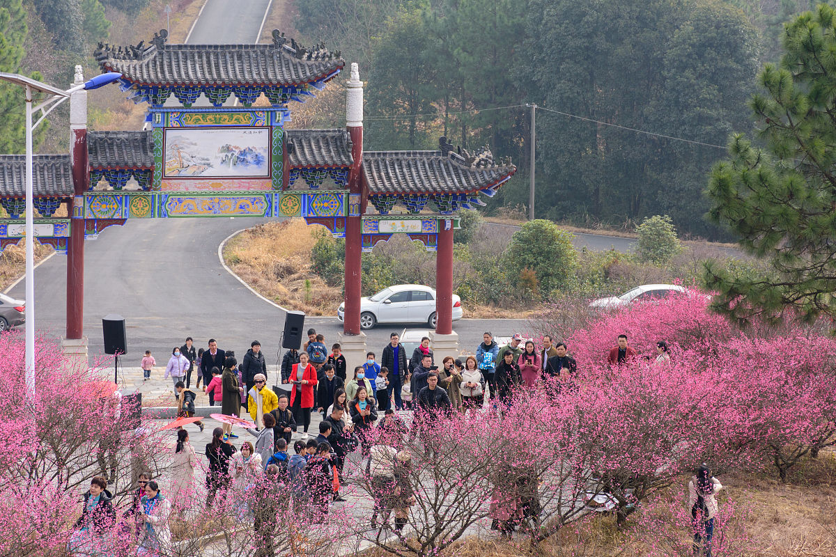 江西现代技师学院地址在哪里