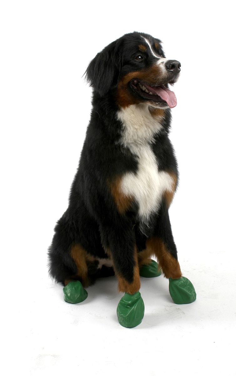2011年7月12日消息,近日一款名为pawz的"狗仔鞋"在欧美爱犬一族中热卖