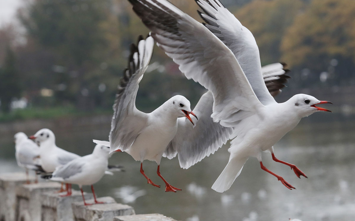 昆明冶金高等专科学校2022年中专部招生简章 - 报名条件、考试安排、录取规则