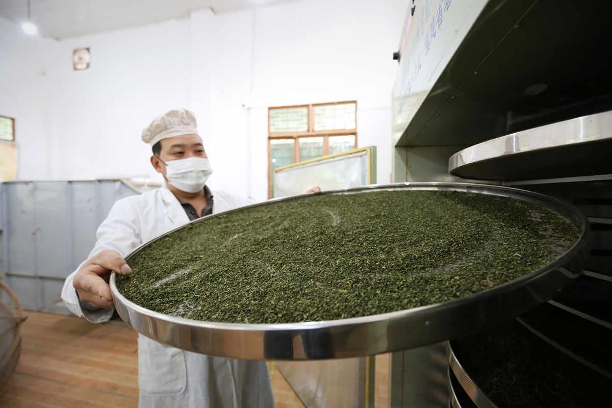 毕节医学高等专科学校中药生产与加工专业招生