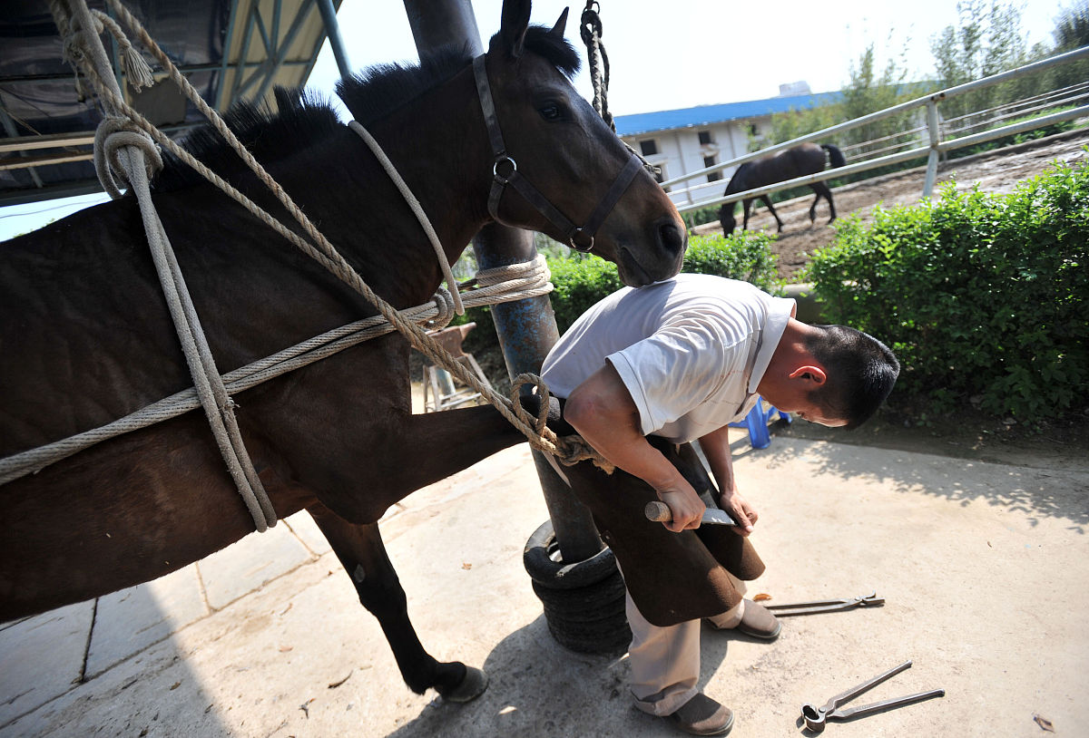 永州职业技术学院动物防疫与检疫专业怎么样？