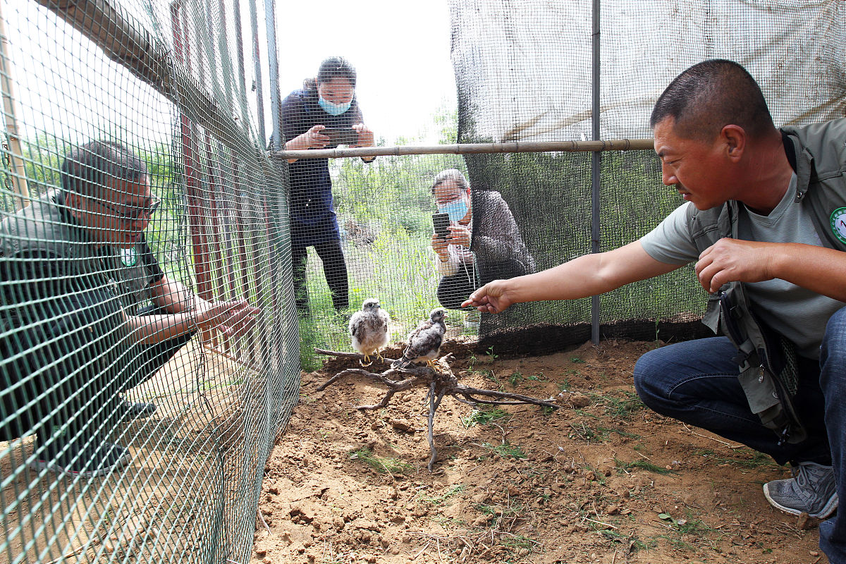 云南省林业高级技工学校2023年高级工招生专业-培养高素质林业技术人才