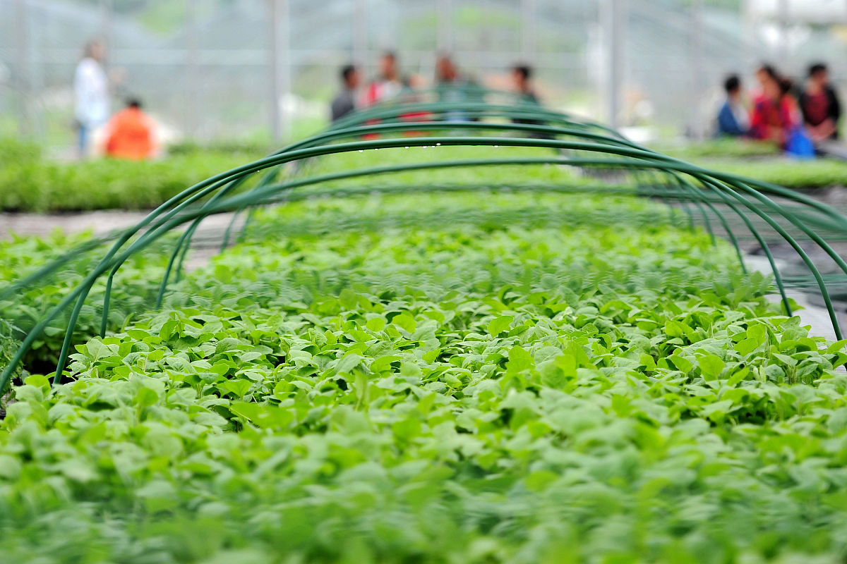 玉溪农业职业技术学院2019年招生简章及计划 - 农业、工程、管理专业