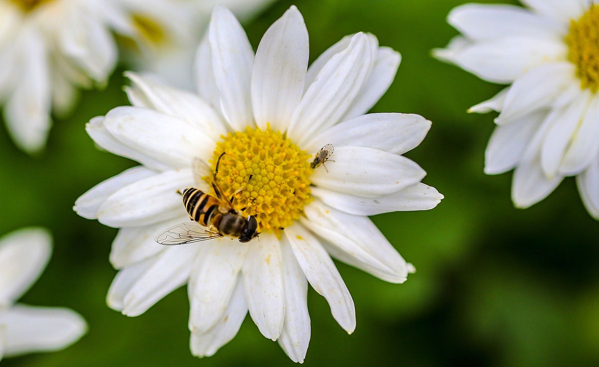 鸡泽职教中心2022年招生专业都有哪些