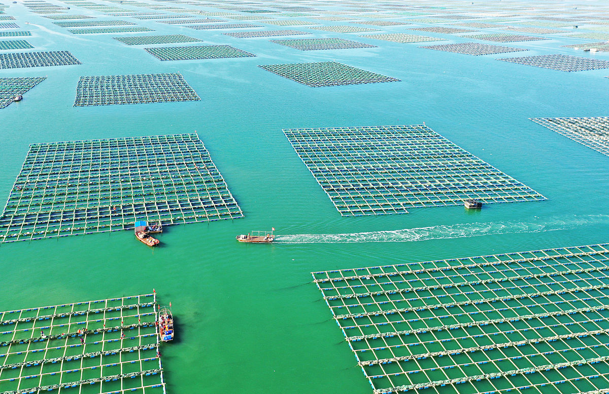 辽宁省渔业自动化如何展现