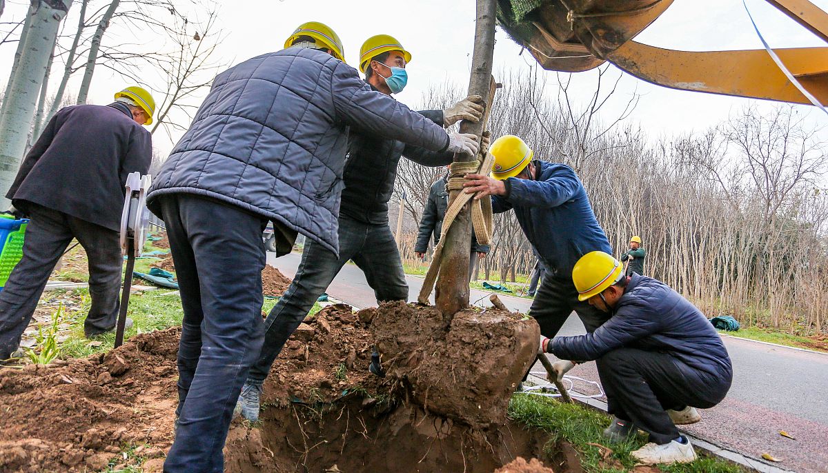 延长县农村电网维护管理案例分析：如何保障农民生活和农业生产