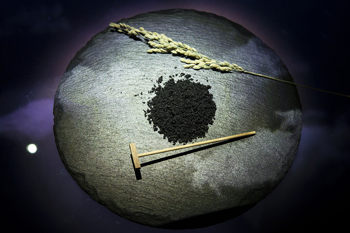 三门峡职业技术学院音乐表演专业就业前景及发展方向