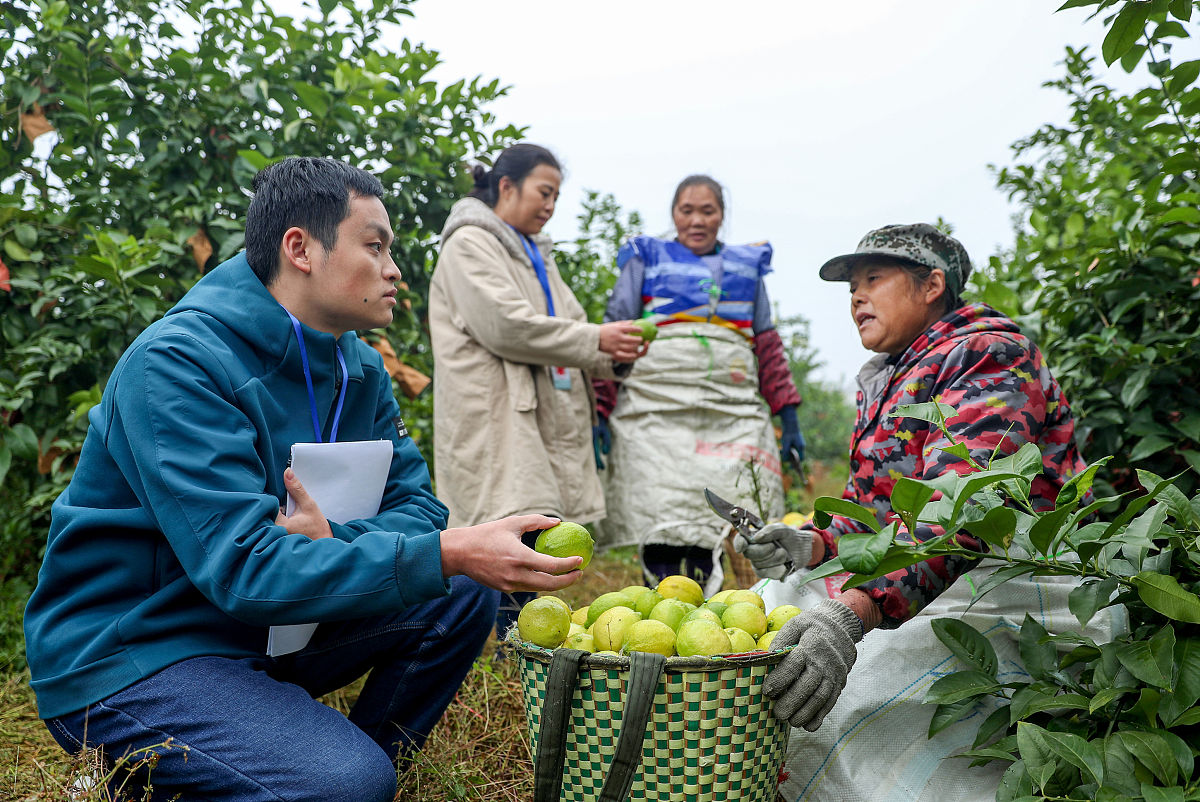 2019广安市各招生学校招生范围变化 - 最新招生政策与调整