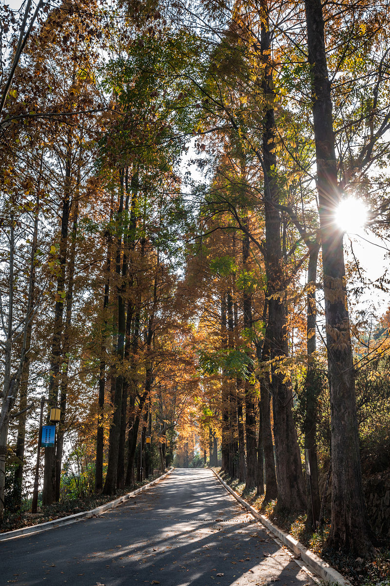 浙江水电技工学校办学层次是什么