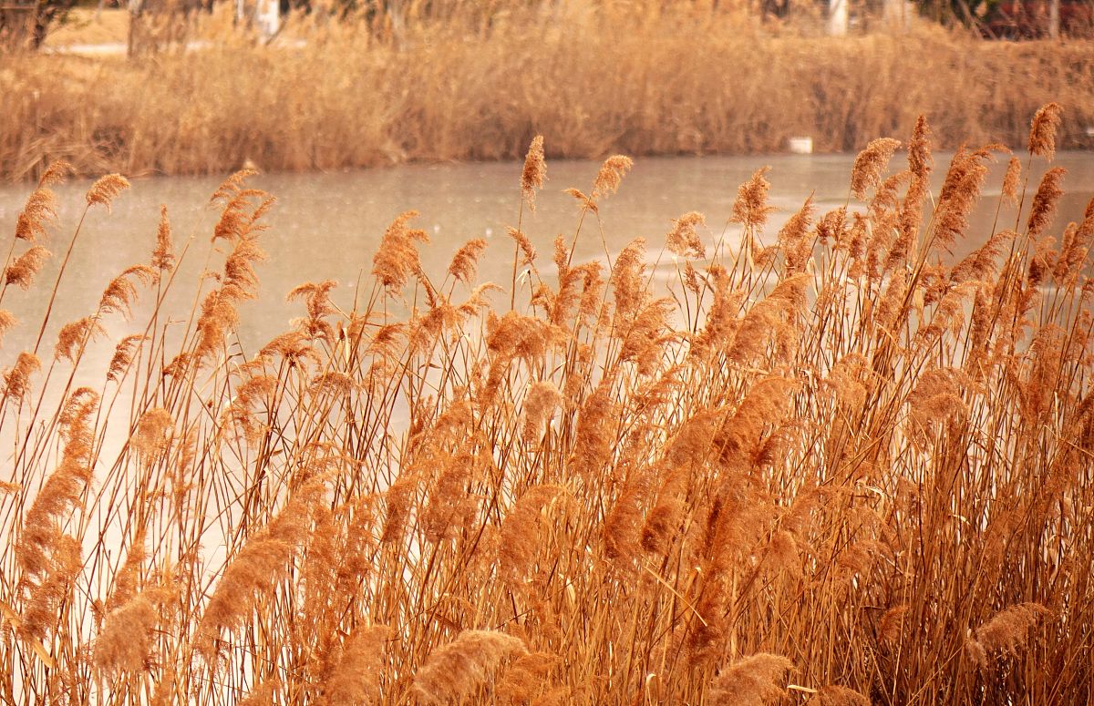 青岛西海岸航海职业学校怎么样？值得报考吗？