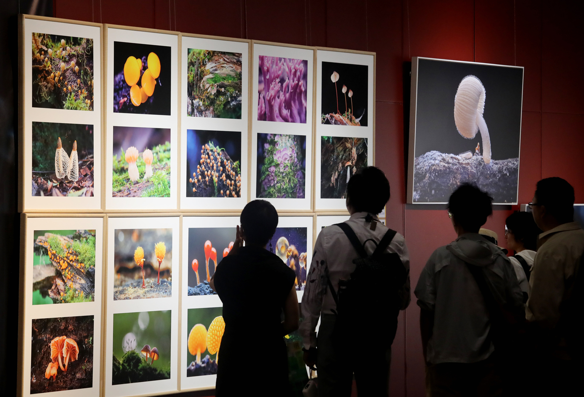线上心灵艺术展示平台的主要竞争对手详细情况和他们的优势和劣势。