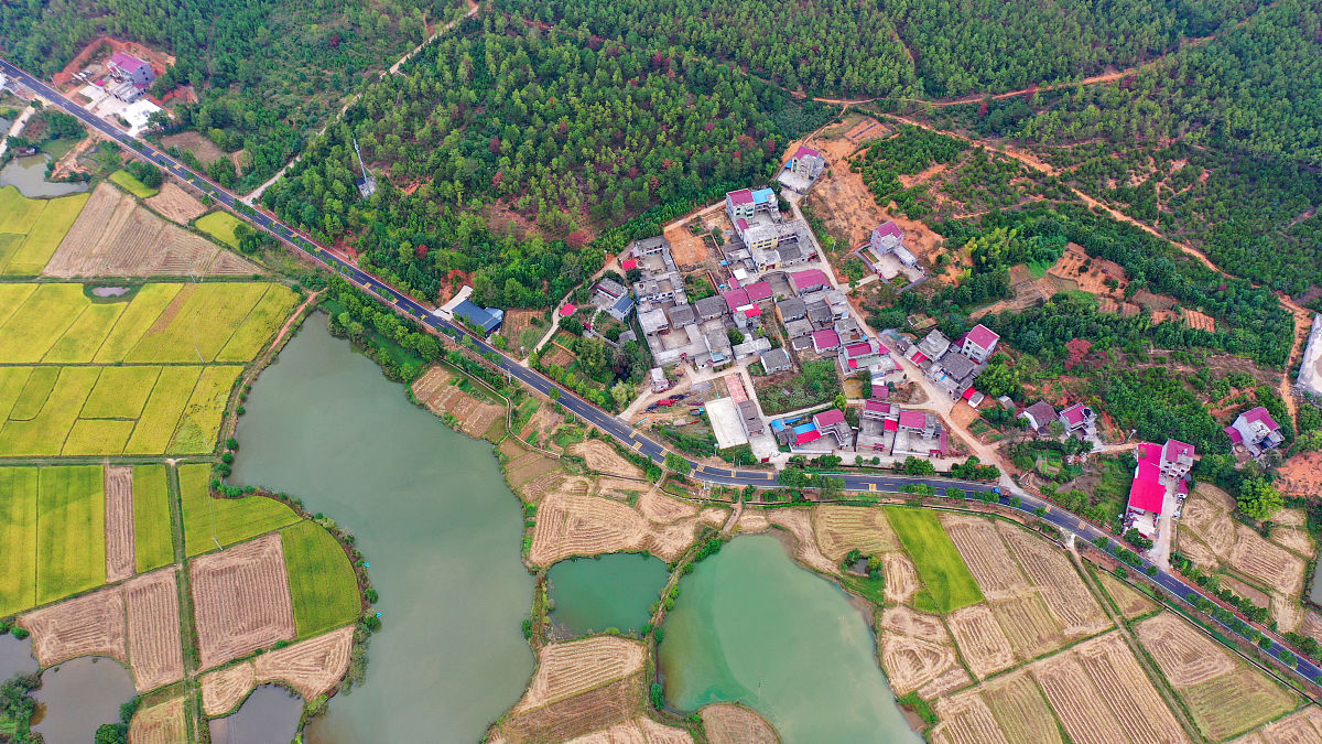 埃及村通项目：改善农村交通，促进经济发展