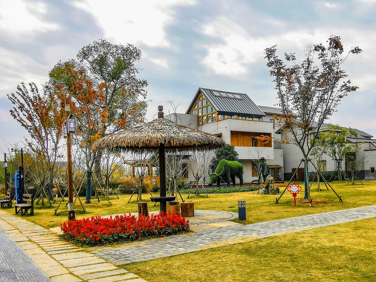 返乡创业：潘云飞的农村风情农宿 - 乡村振兴的典范