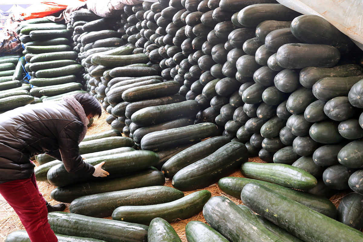 审计证据的适当性：充分性、相关性、可靠性