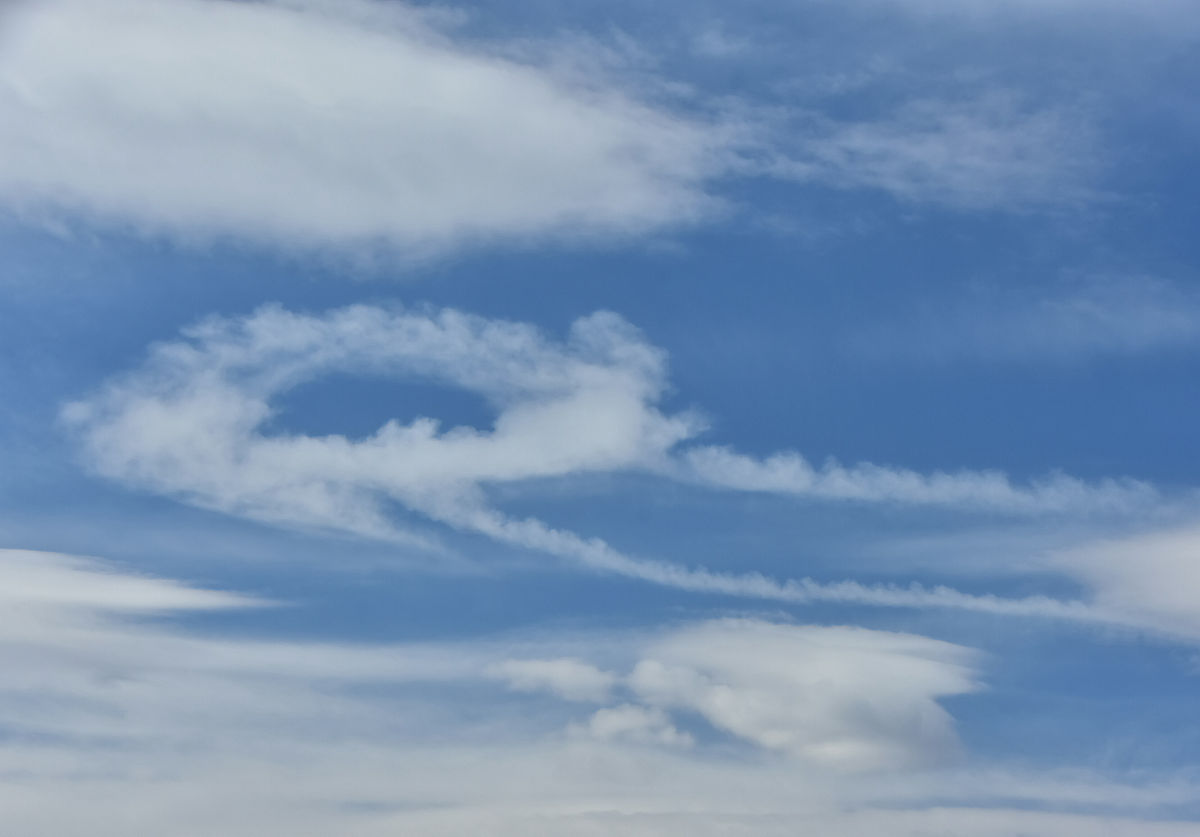 圆圈正义 作者 - 你指的哪本？