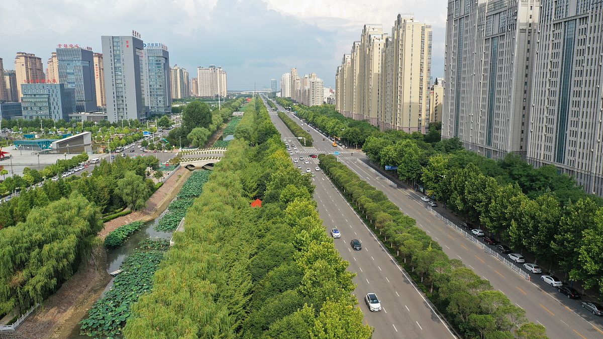 论文中多个图像编号规则：如何标注2.2节中的第一个图？