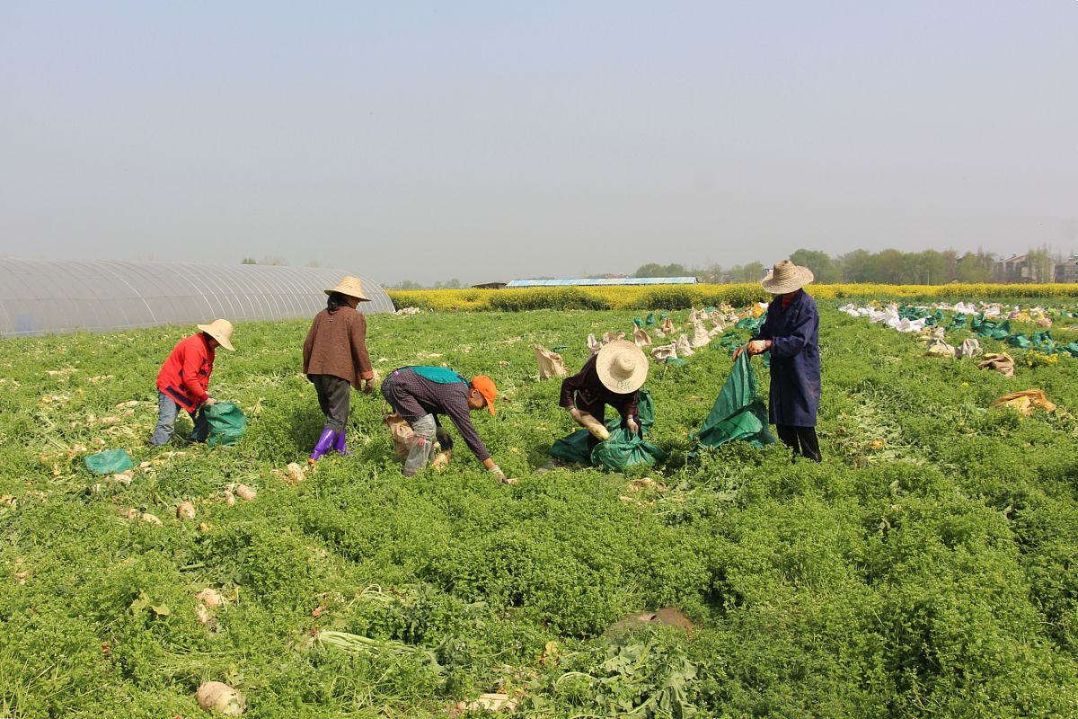 信息系统集成服务需要资质吗