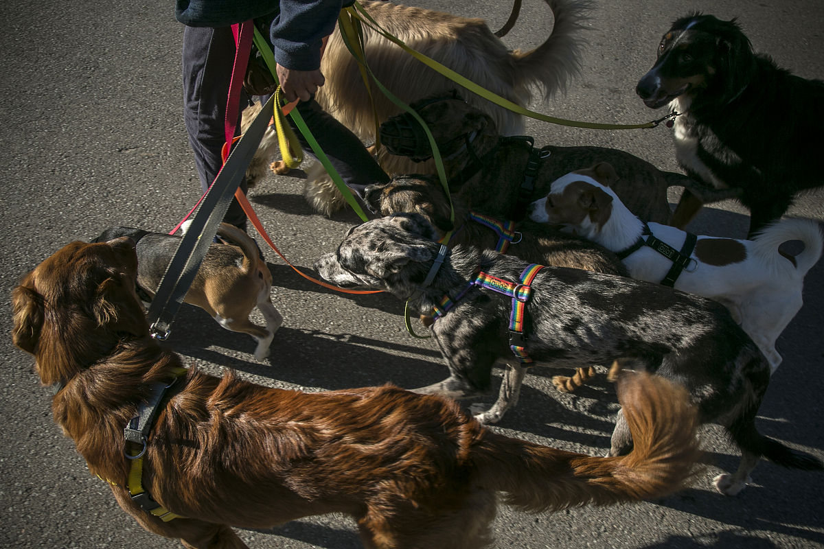 梦幻西游游戏内物品变化