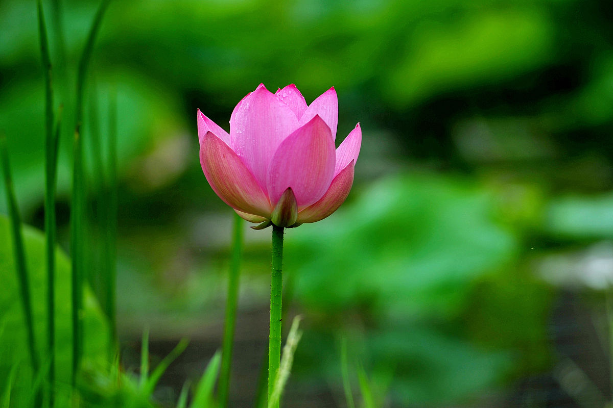 浙江经济职业技术学院金融管理与实务专业怎么样？优势解析