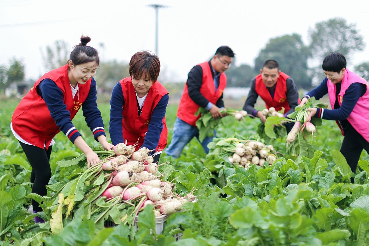我是一名幼儿教师党员我想写一份批评与自我批评的发言稿