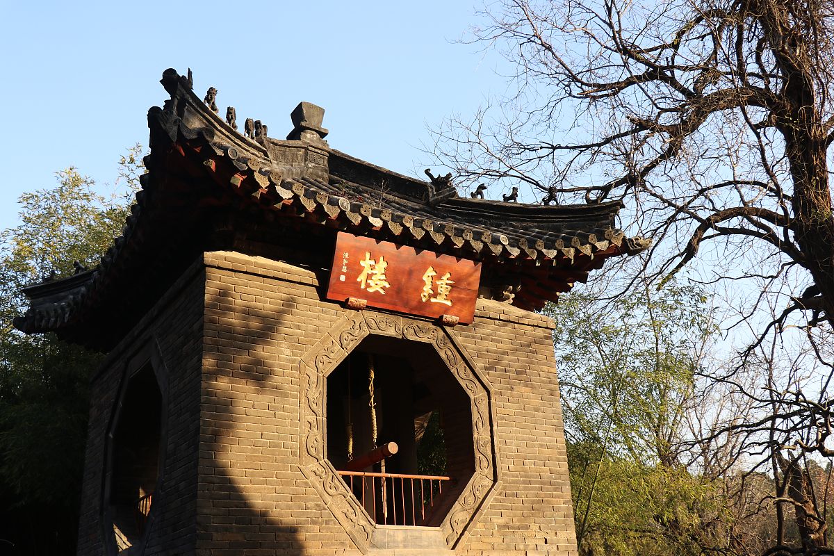 冬日阳光的温暖：一篇300字小学作文