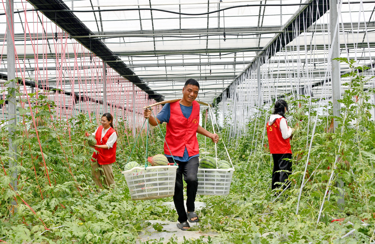 在农村做什么好