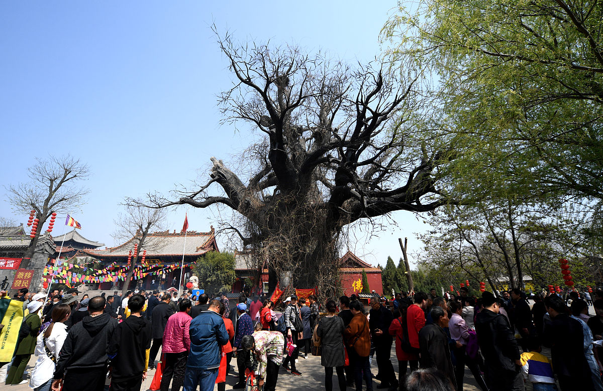 绵山、洪洞大槐树等景区5、10月百度指数偏低原因分析及提升策略