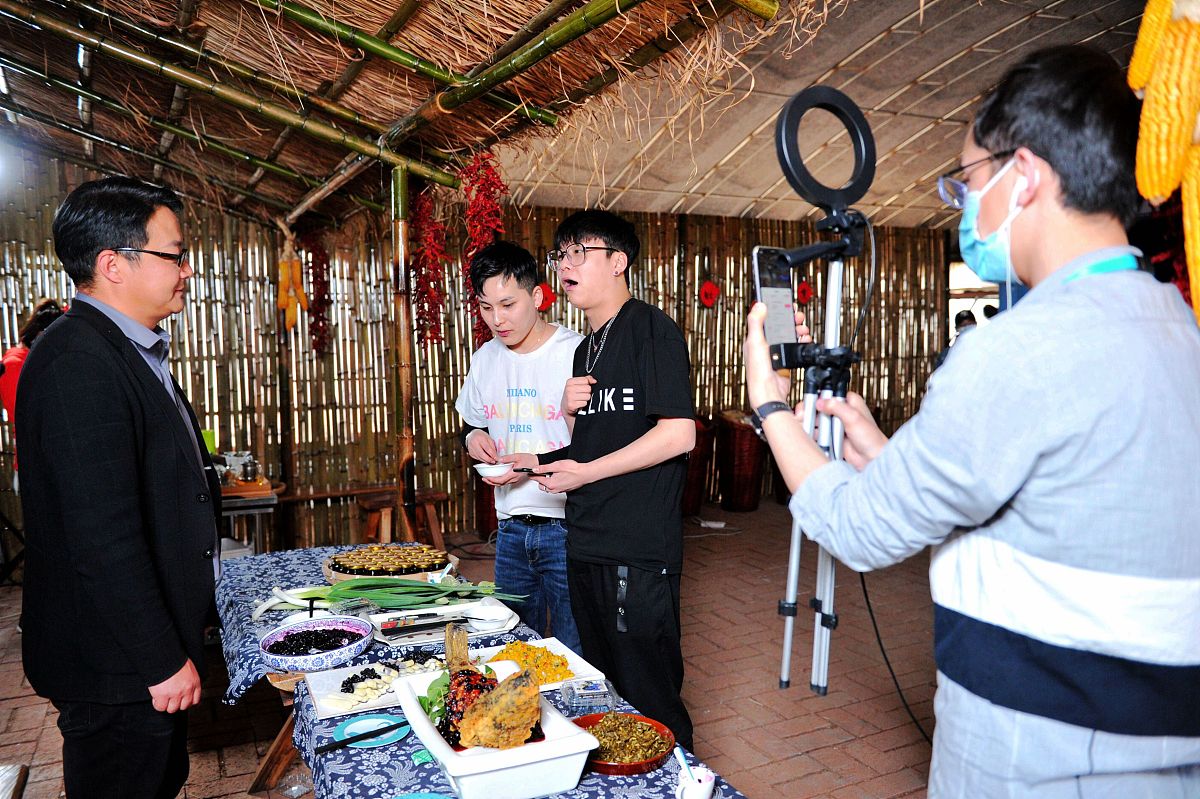 农村留守妇女直播带货研究：影响因素、效果分析及差异性探究