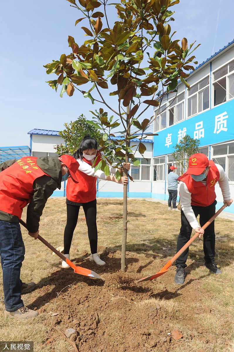 阜阳市评审工程师:职责、要求及就业方向 - 权威指南