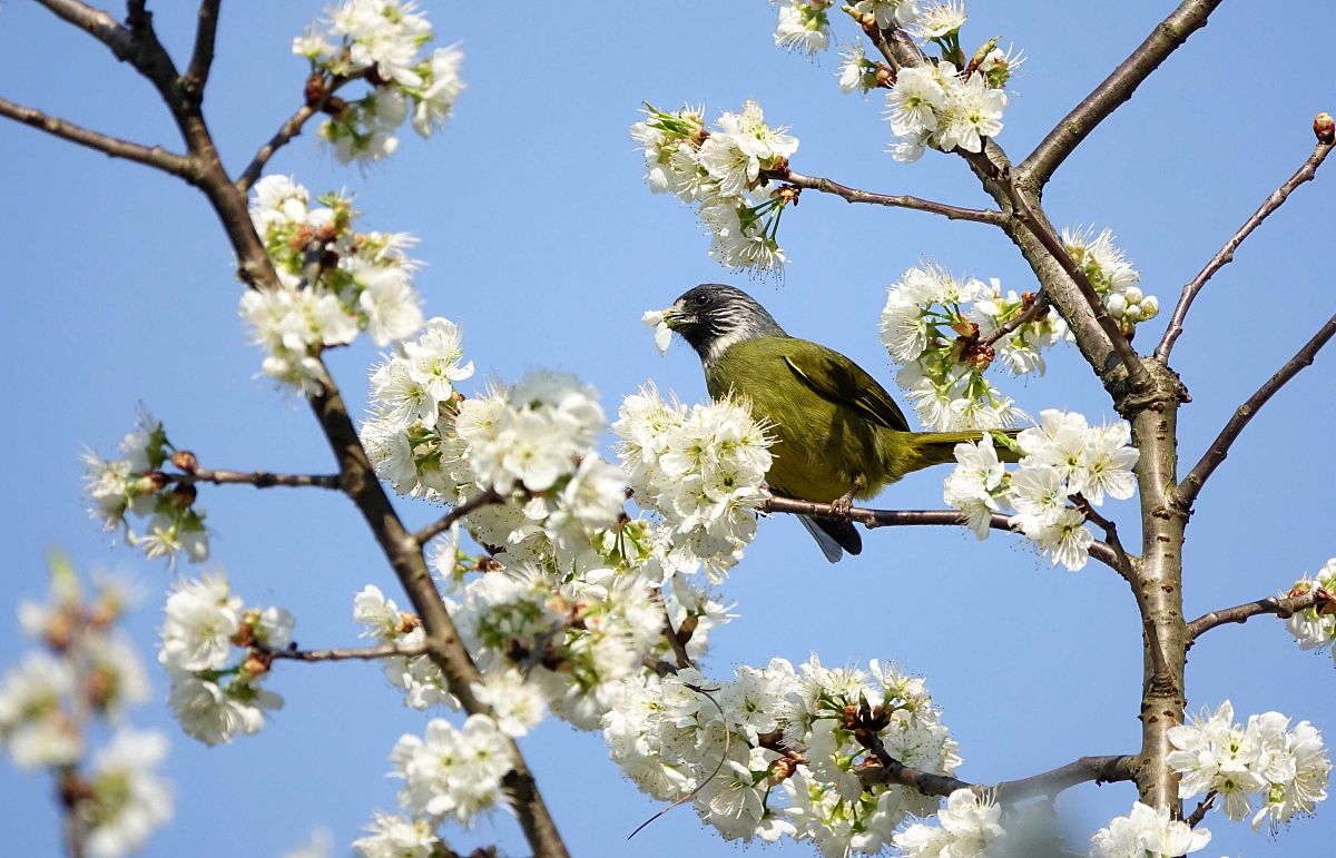 贵阳铁路工程学院招生情况是怎样的呢