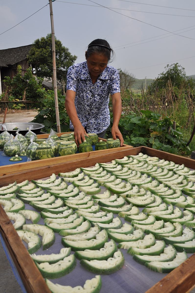 2012年8月16日,湖南省靖州自治县艮山口夏乡村农民沈巧英在晾晒巧夺天