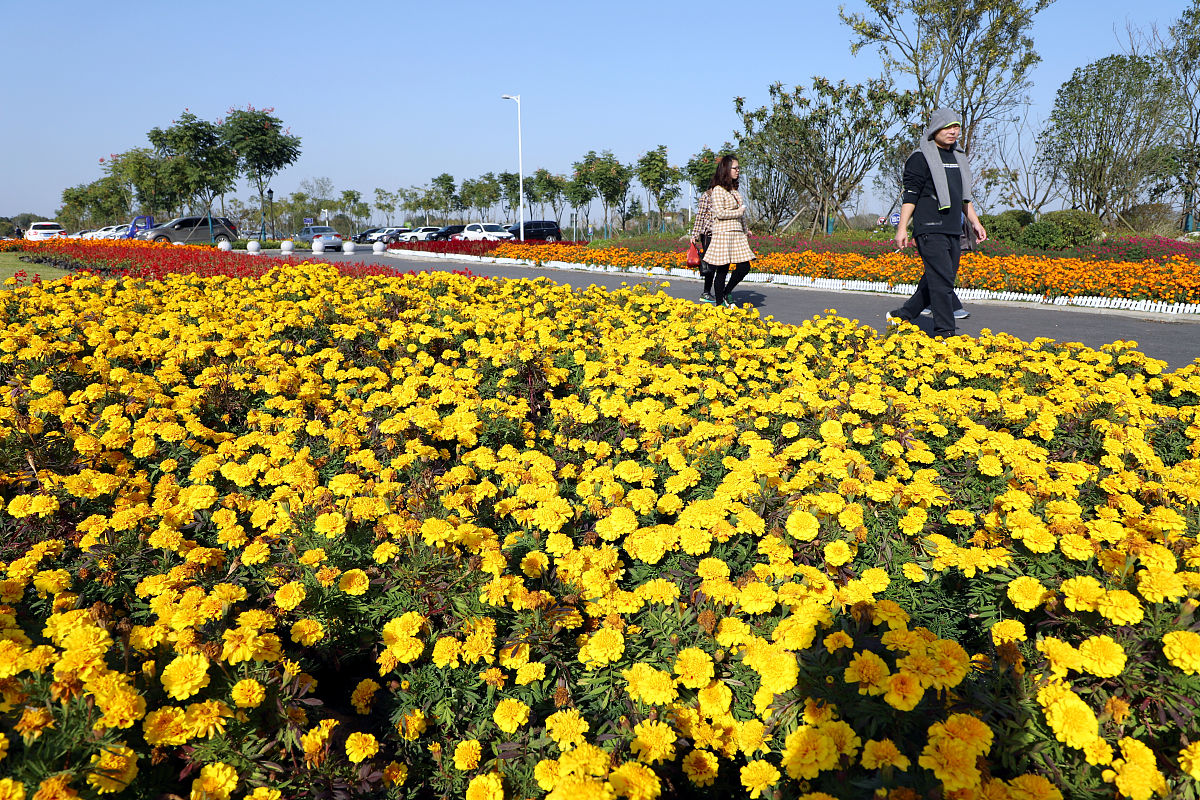 荆门艺术设计学校怎么样荆门艺术设计学校概况