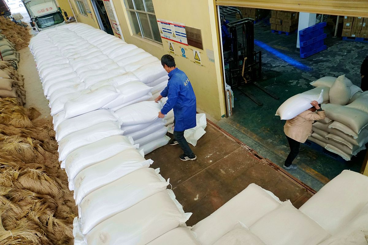 饲料厂实习收获：从理论到实践的宝贵经验