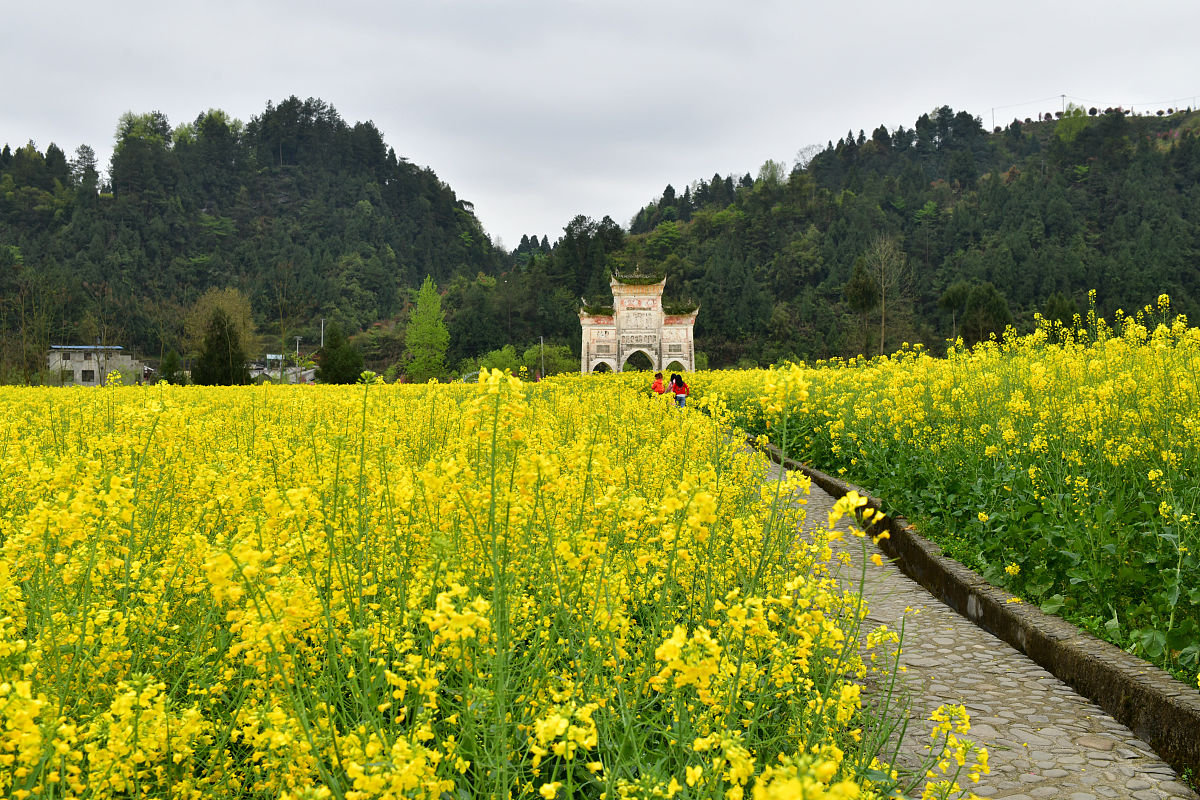 2019年贵州工商职业学校招生政策解读
