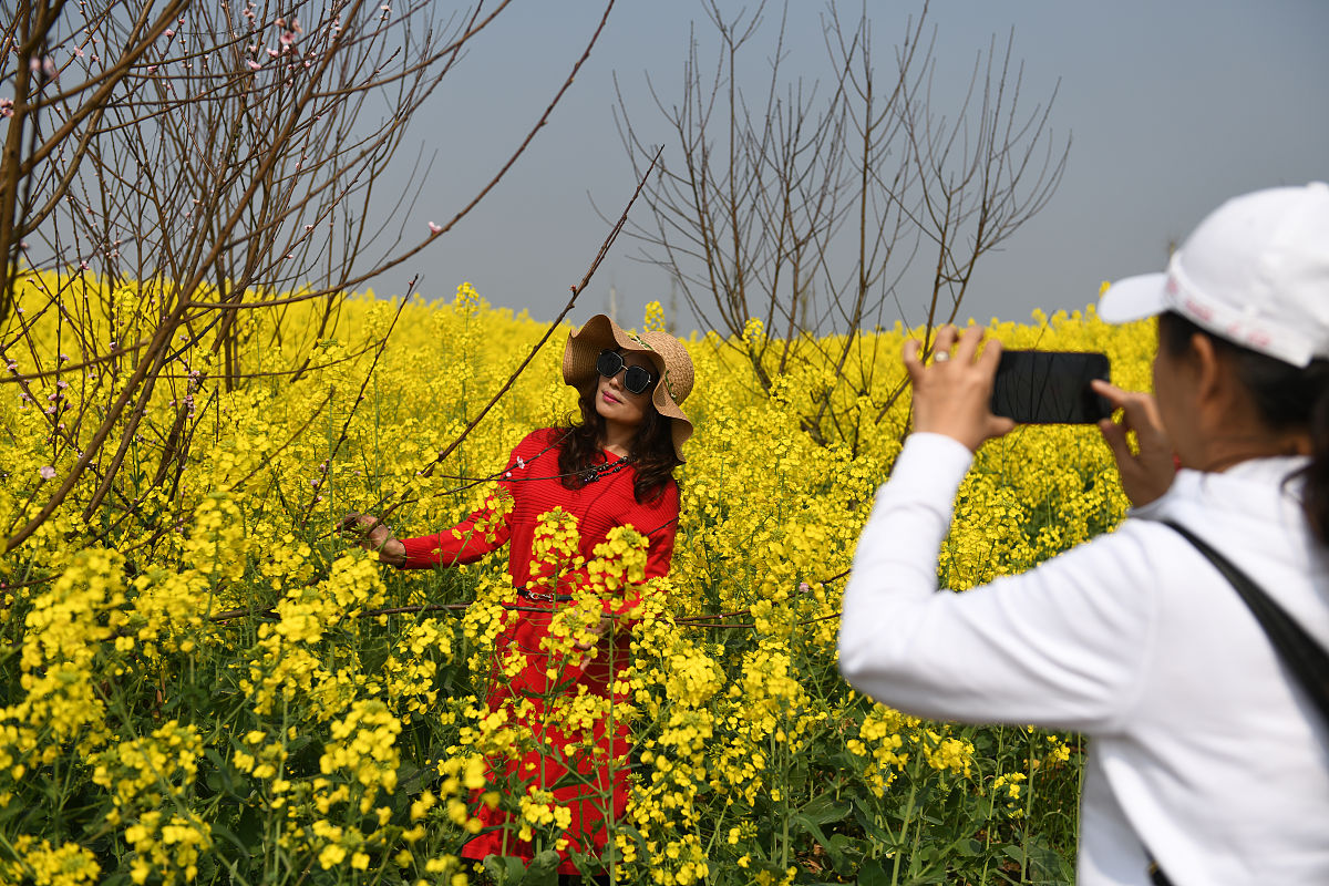 重庆高铁专业学校招生要求2020 - 详细解析及备考建议