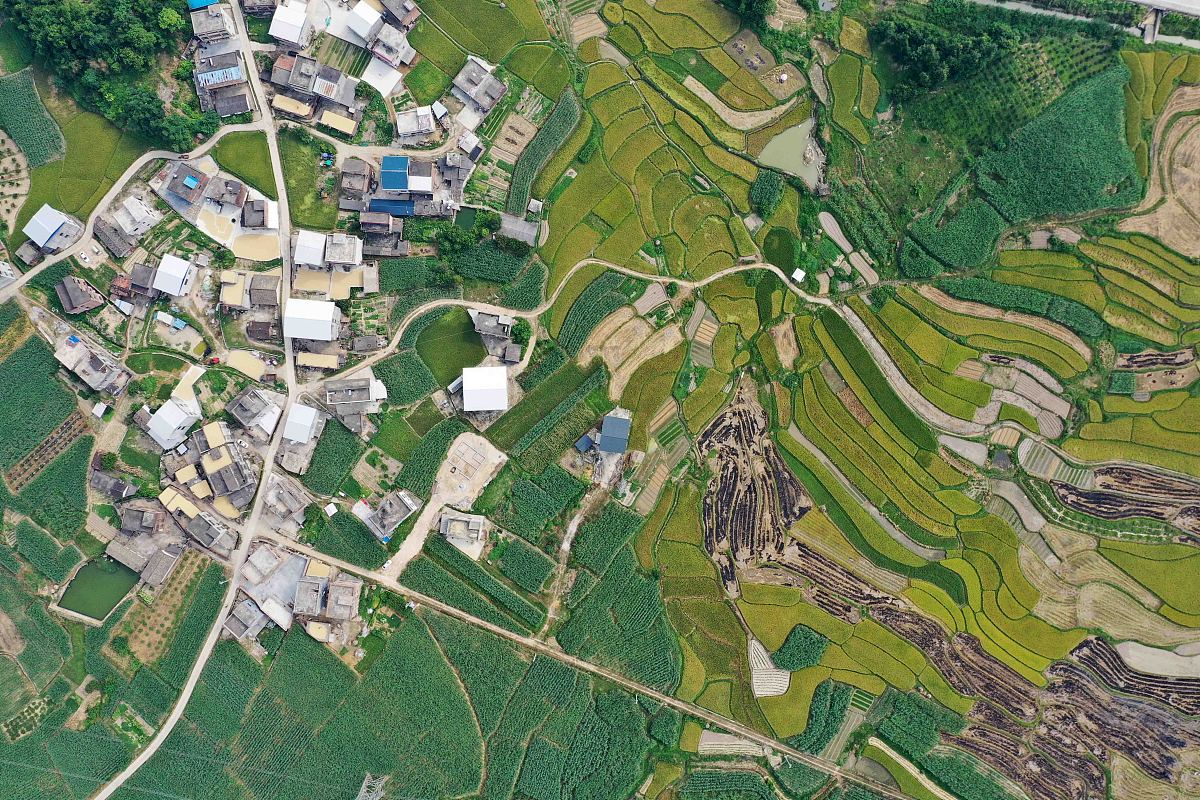 旺岗村变迁史800字