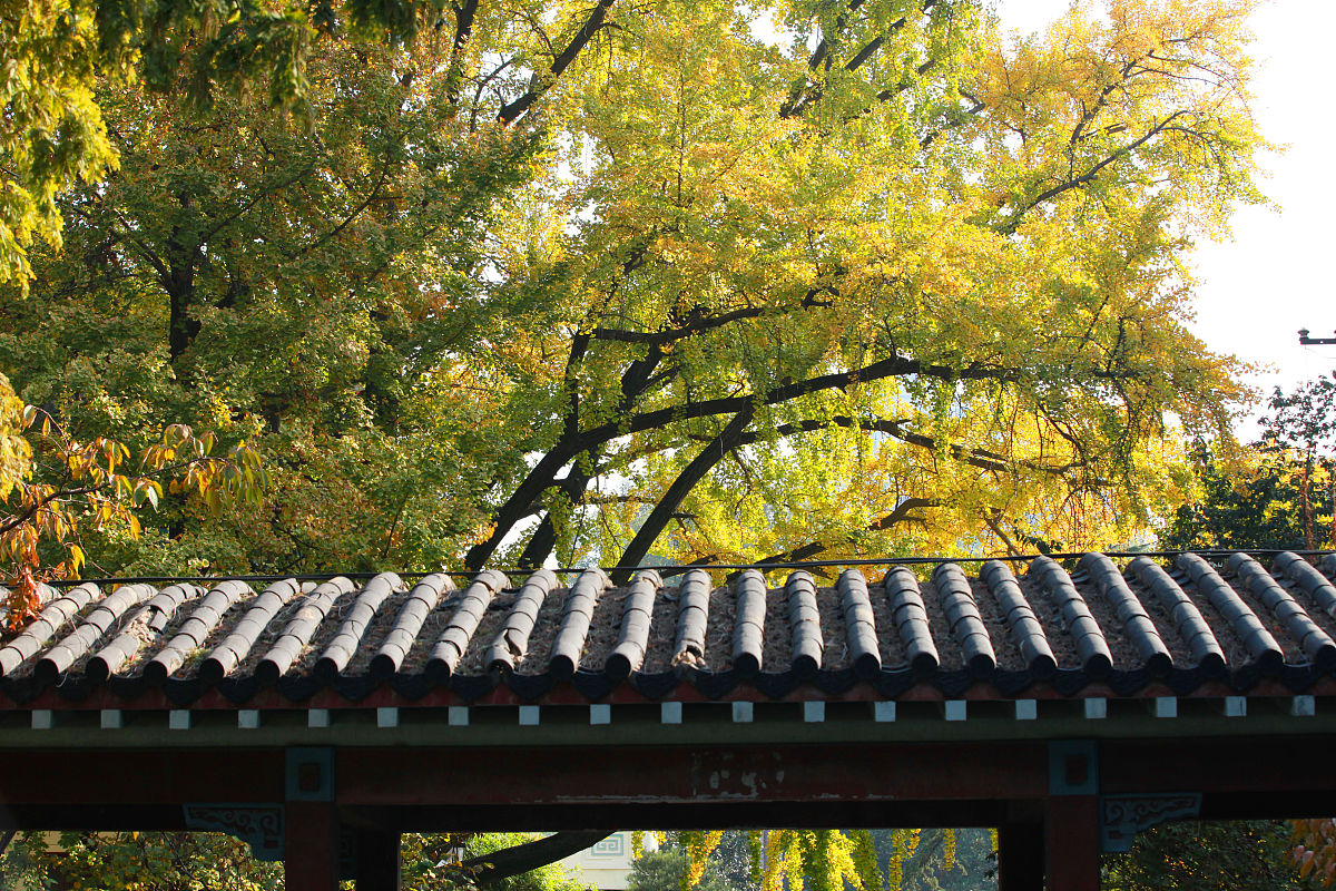 陇西师范学校2022年招生简章 - 报名时间及考试科目