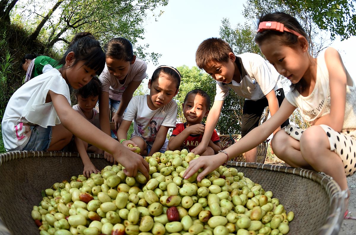 曲靖农业学校2019年五年一贯制大专报名方式