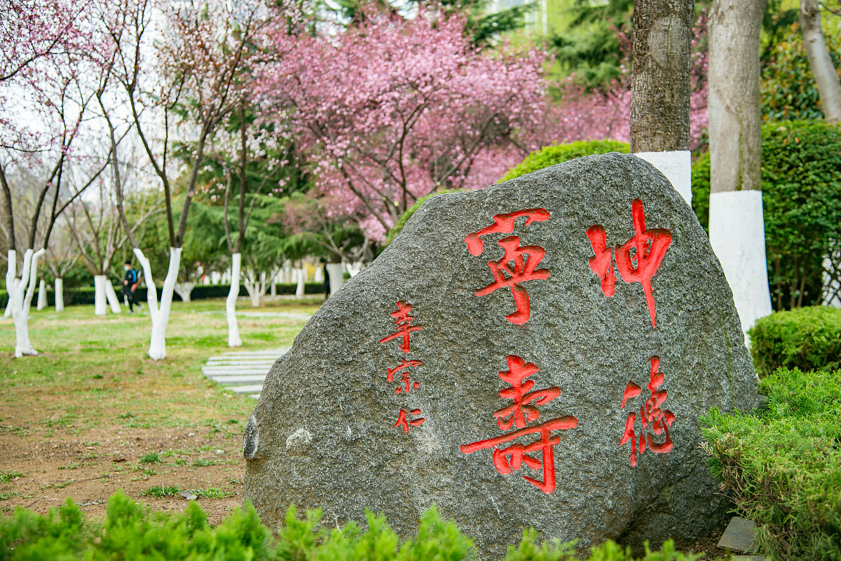 2022年3月23日,春日里的山东临沂书法广场,鸟语花香,生机盎然.