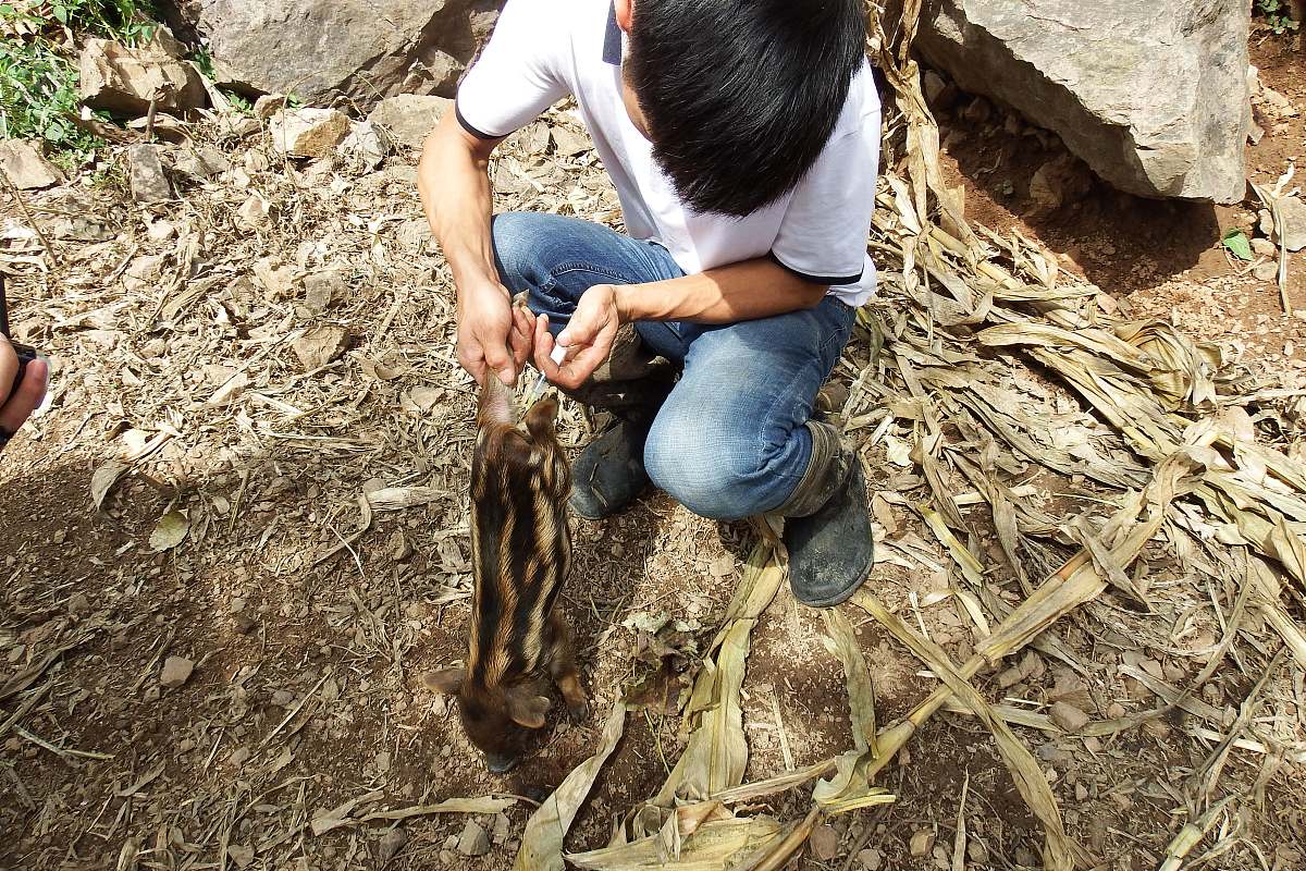 中央广播电视中等专业学校旅游管理与服务（高地铁安检方向）专业怎么样？