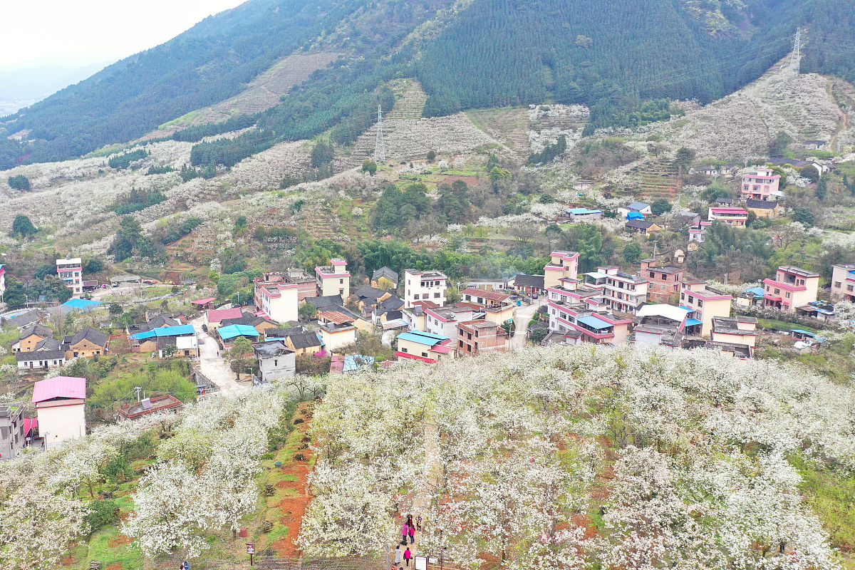 灌阳县人才档案管理中心：专业人才档案管理服务机构