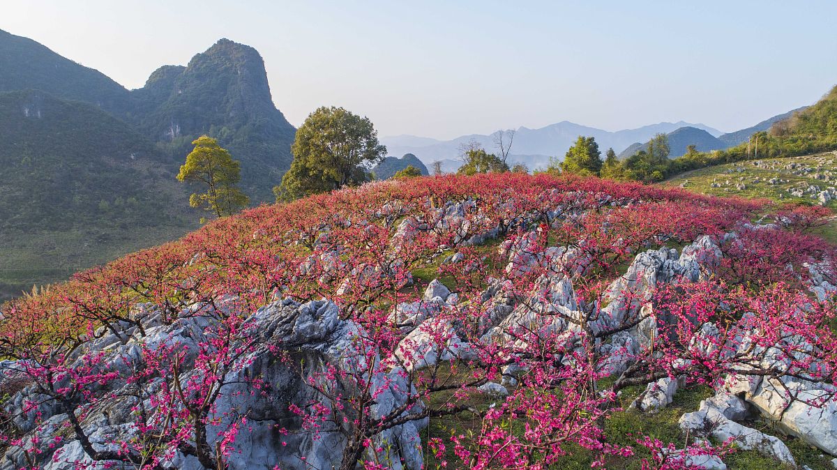 三生三世十里桃花：探秘中国最美小县城，千年历史与现代风情交织