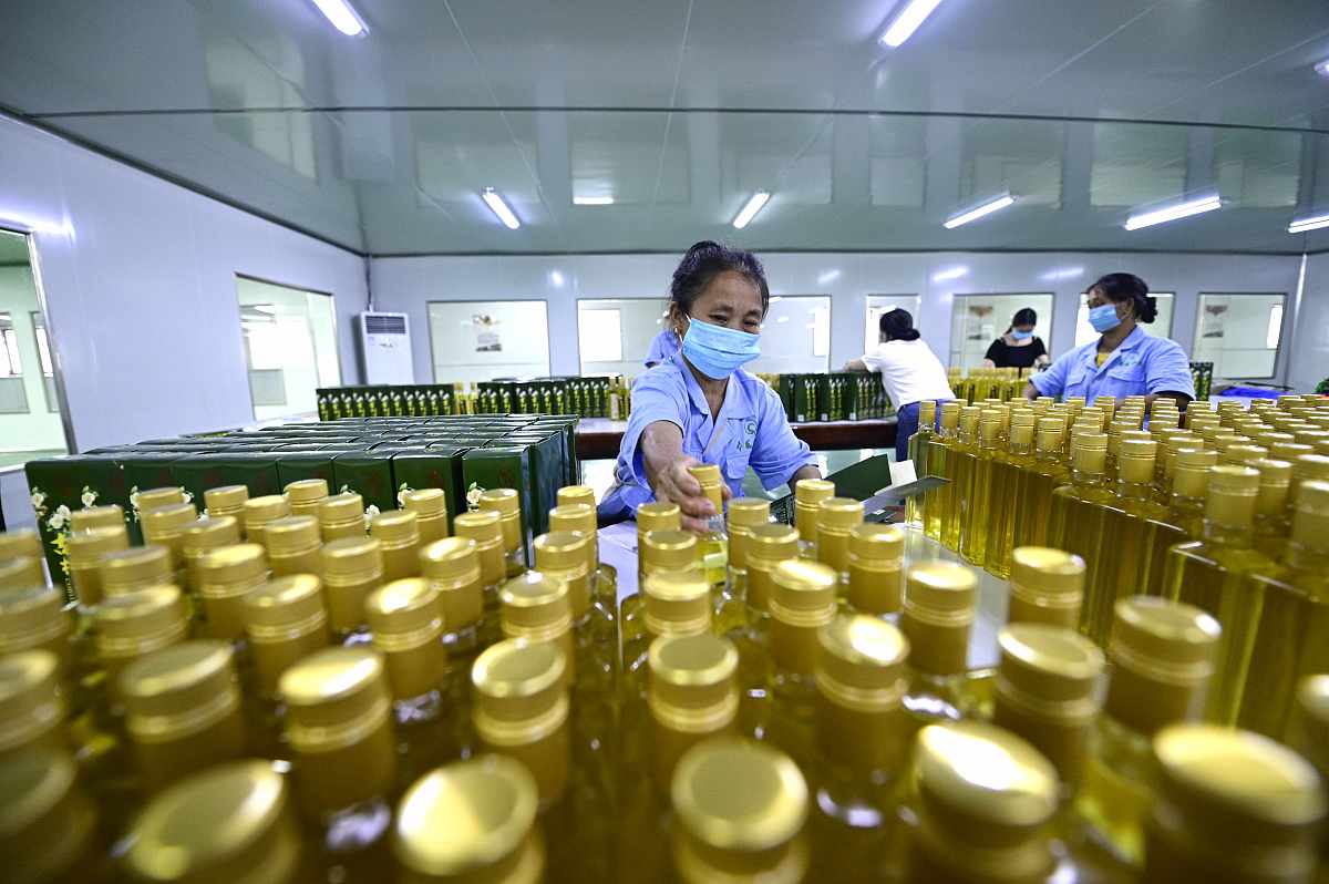 2023年粮油储藏与检测技术专业就业前景和薪资待遇分析